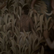 Image for article titled Carnivàle: “Hot And Bothered”